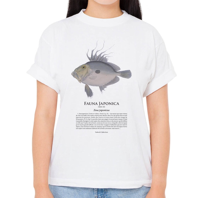 【マトウダイ】シーボルトコレクション魚譜Tシャツ