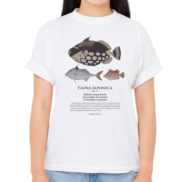 【モンガラカワハギ・ギマ・ベニカワハギ】シーボルトコレクション魚譜Tシャツ