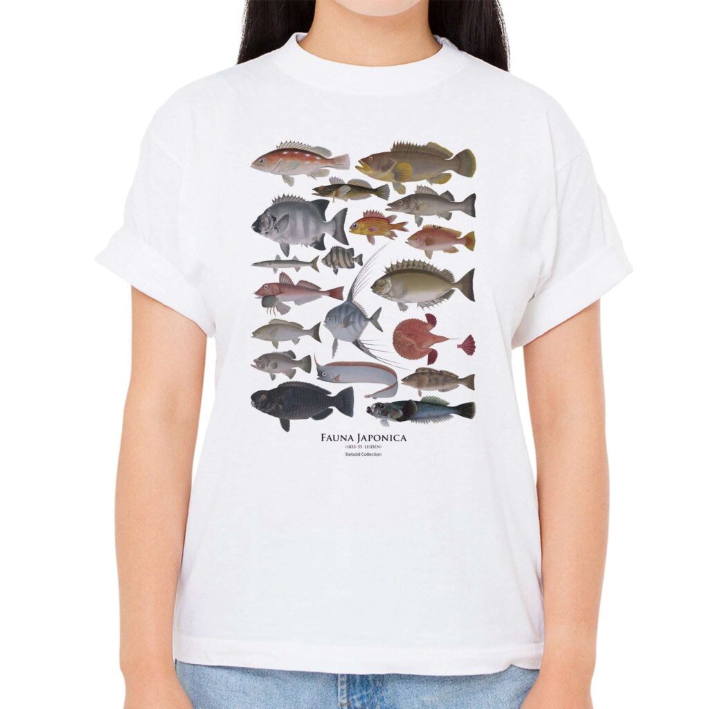 【魚群】シーボルトコレクション魚譜Tシャツ